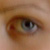 :iconflashn: