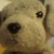 :iconflashpup: