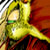 :iconflashtalon: