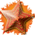 :iconflat-turtle: