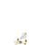 :iconflattened-meowth: