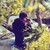 :iconflaviographer: