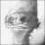 :iconflaviou: