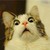 :iconflavoredyeti: