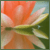 :iconflawedjade: