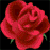:iconflawedruby: