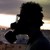 :iconflawyscut1: