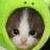 :iconfleeingflyingthings: