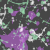 :iconfleeting-ideals: