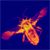 :iconflesheatingbug: