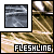 :iconfleshling: