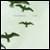 :iconflety: