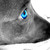 :iconflicka95: