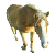 :iconflickaplz: