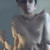 :iconflickerlighter:
