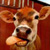 :iconflickrmonkey: