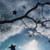 :iconfliegen-away: