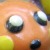 :iconfliegs: