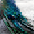 :iconflightofdeepthoughts: