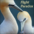 :iconflightparadox: