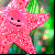 :iconfliisan: