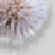 :iconflinchelle: