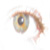 :iconflip121: