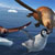:iconflipperboidskua: