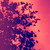 :iconflo-uzumaki-naru: