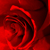 :iconflo0xy: