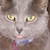 :iconfloatdeboat: