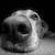 :iconfloop-o-rama: