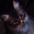 :iconfloory: