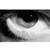 :iconflor-de-pim: