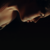 :iconfloraart: