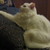 :iconfloradelirus: