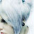 :iconflorbraz: