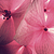 :iconflore-book: