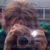 :iconflorence-of-arabia: