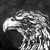 florian-ducros :iconflorian-ducros: