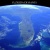 :iconflorida-deviants: