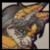 :iconFloridianPirate: