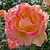:iconflorilucia: