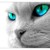 :iconflorine2:
