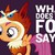 :iconflorpaniagua: