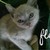 FLOSMOKE :iconflosmoke: