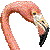 :iconflotheflamingo: