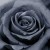 :iconfloury: