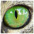 :iconflow-photo:
