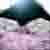 :iconflowandflow: